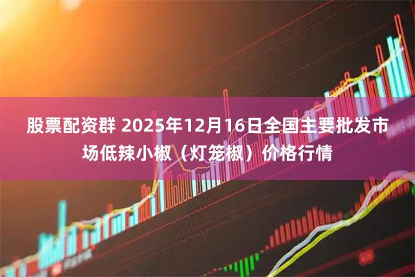 股票配资群 2025年12月16日全国主要批发市场低辣小椒（灯笼椒）价格行情