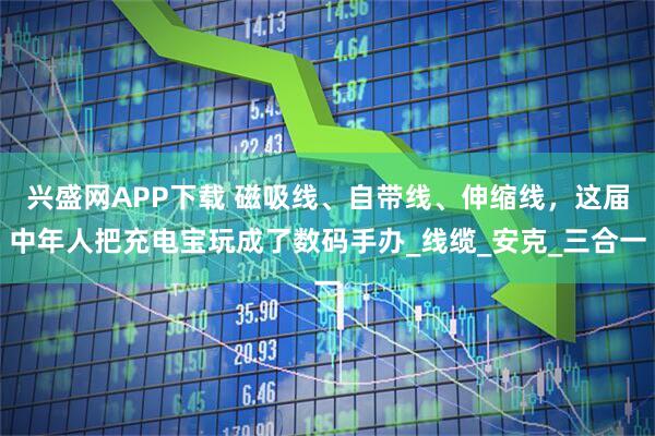 兴盛网APP下载 磁吸线、自带线、伸缩线，这届中年人把充电宝玩成了数码手办_线缆_安克_三合一
