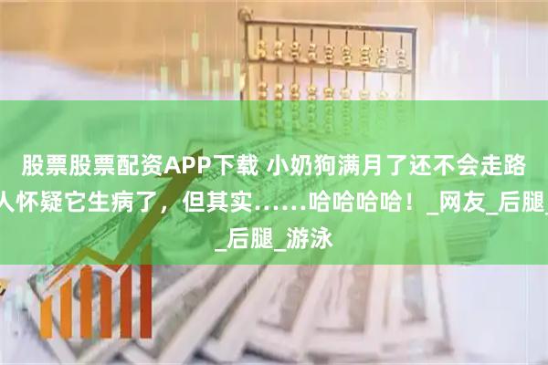股票股票配资APP下载 小奶狗满月了还不会走路，主人怀疑它生病了，但其实……哈哈哈哈！_网友_后腿_游泳